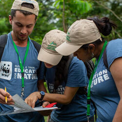 Forest restoration workshop participants review data