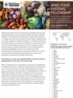 Food EN Guidelines 2025 Brochure