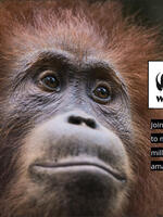 Earth Day 2020 Corporate Engagement Brochure