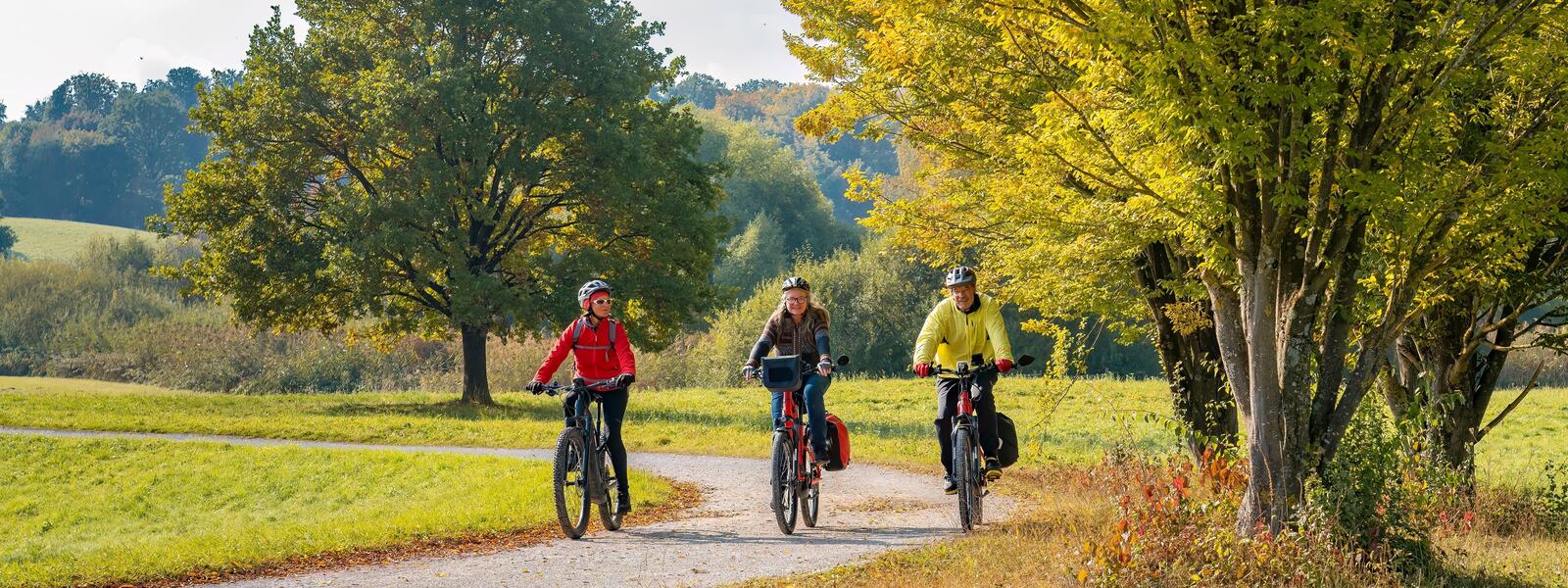 three people biking through nature