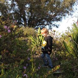 Oriana walked around her neighborhood park with her son, capturing photos along the way. 