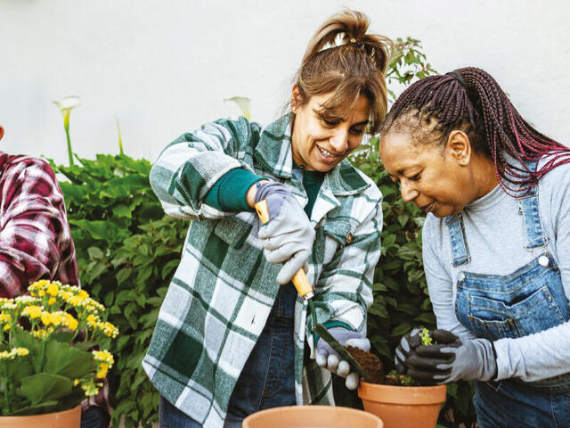 Three women stand in a green house and hold plants, pots, and shovels as they work