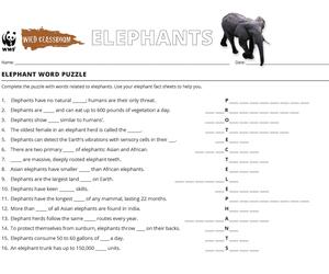 Elephant Word Puzzle
