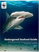 Endangered Seafood Guide Brochure