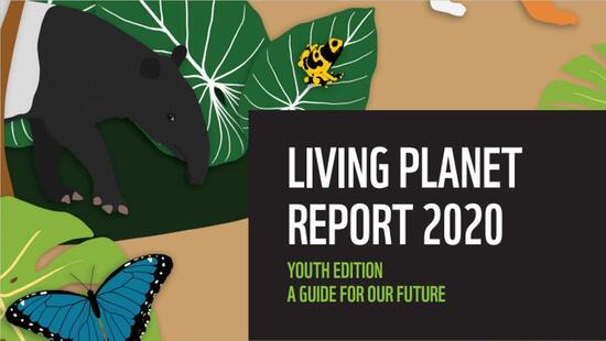 LPR 2020: Youth Edition