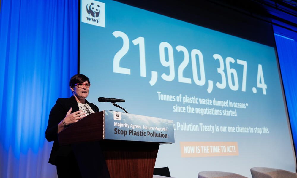 WWF's Erin Simon stands at a lectern in front of a screen that shows how much plastic has been dumped into the ocean since plastic pollution negotiations began.