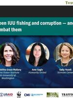 Connections between IUU fishing and corruption — and how the global community can combat them Brochure