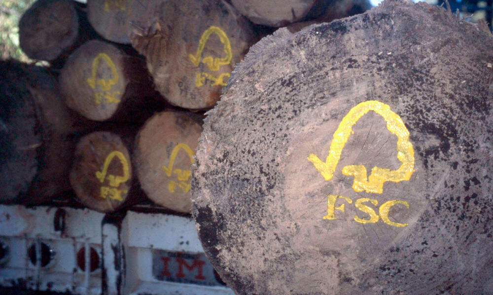 FSC logo painted on sustainable harvested logs. Uzachi forest, Oaxaca, Mexico