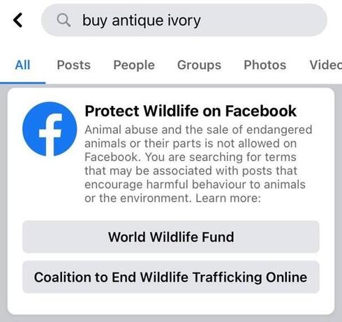 A picture of a Facebook pop up that allows users to help report endangered animals on Facebook through the in-app reporting feature