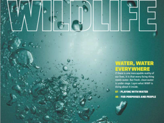 Fall 2017 Magazine Cover