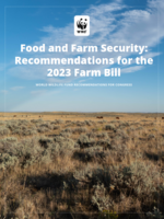 Food and Farm Security: Recommendations for the 2023 Farm Bill Brochure