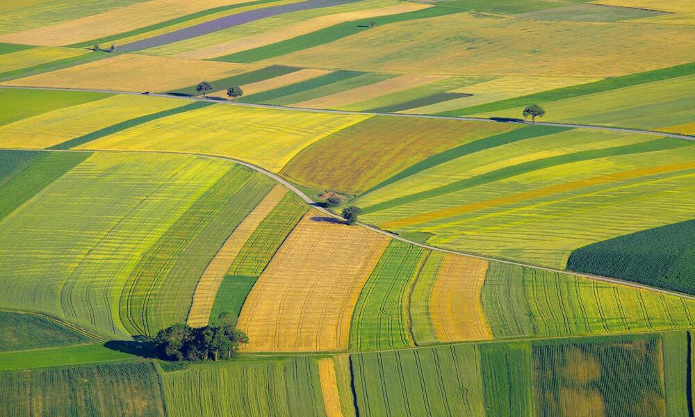 farm land
