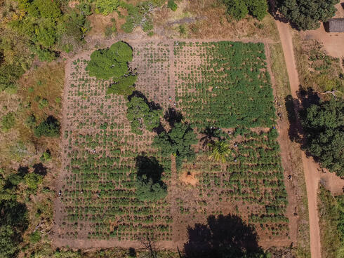 An aerial view of a farm plot, surrounded by arid underbrush 
