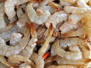 A pile of raw farmed shrimp