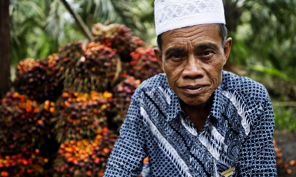 Farmer in Indonesia