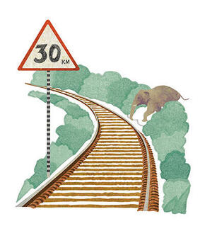 Illustration of elephant crossing train tracks