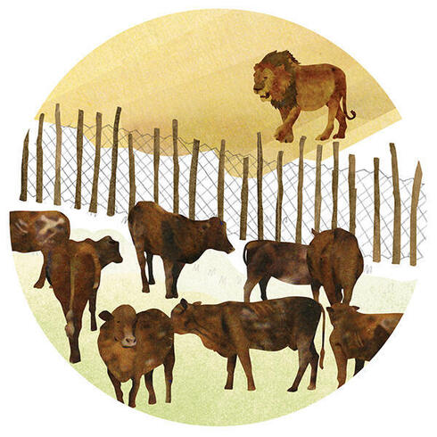 Illustration of lion at fence