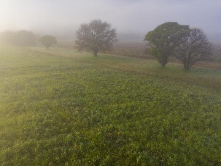 a field at sunrise