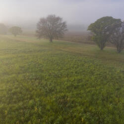 a field at sunrise