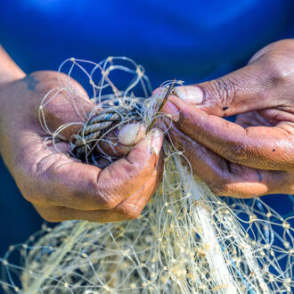 Hands holding a fishing net