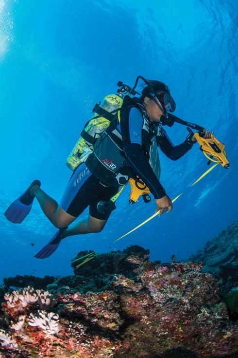 Scuba diver survey