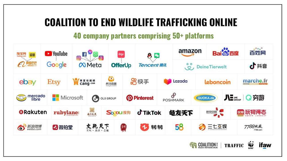 Compilation of the partner company logos involved in the Coalition to End Wildlife Trafficking
