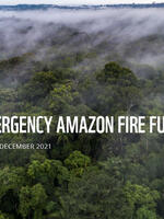 Emergency Amazon Fire Fund Report – January 2022 Brochure