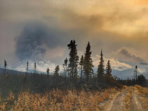 Smoke over mountains with burned trees in foreground