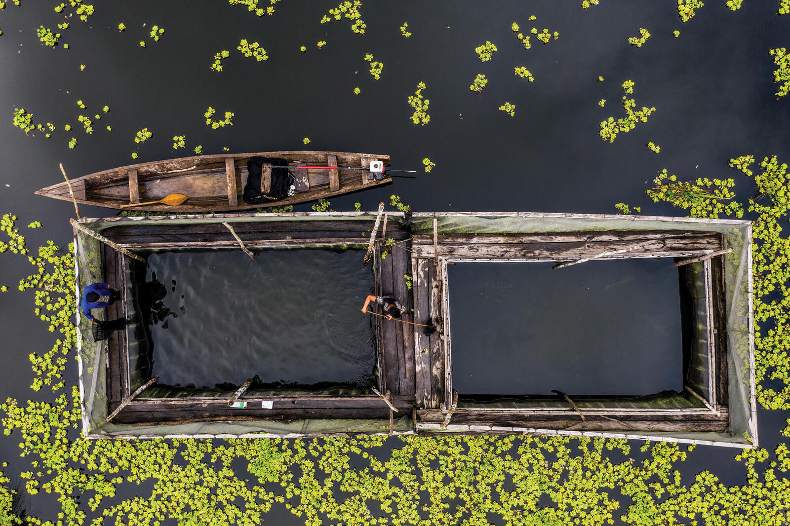 Aerial photo of fish farming cages