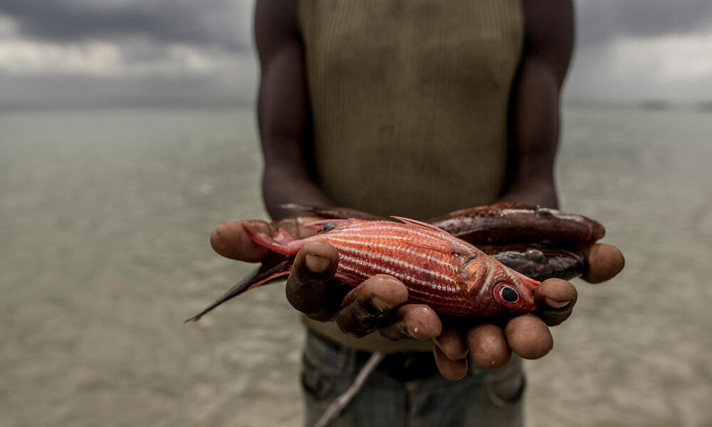 Man holding fish in hands