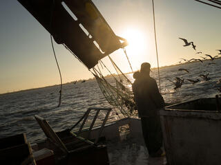 Fisherman in Gulf of Mexico