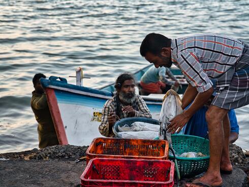 A fisher stands over a red basket at the water's edge sorting the catch of the day