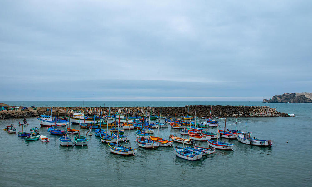 A group of small fishing boats gathers in a harbor in Peru on a cloudy day