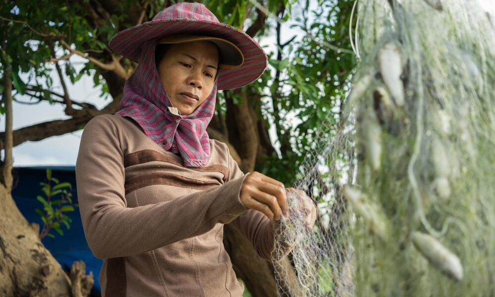 A  local fisherwoman collects small fish from a net on an island inside the Ramsar protected area, Stung Treng, Cambodia.