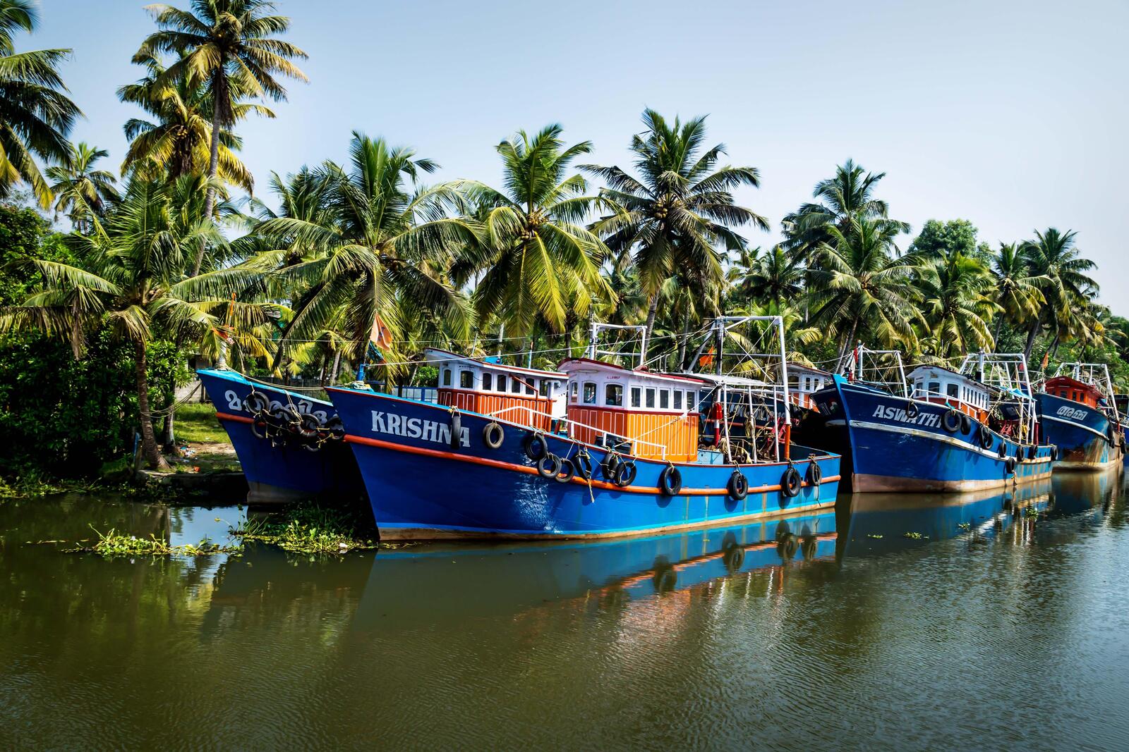 Several fishing boats float in a canal-like space with palm trees in the background