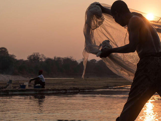 A person cast in shadow from a low sun throws a fishing net into the river