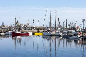 Fishing boats, Bay of Fundy, New Brunswick, Canada