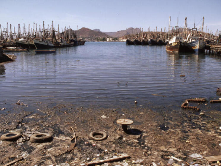 The most heavily polluted bay in the Gulf of California It has a large shrimping fleet and processing factories Guaymas, Sonora Gulf of California, Mexico