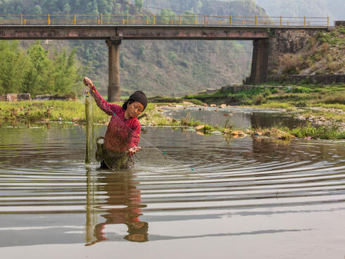 A woman fishes with a net in a river with a bridge in the background