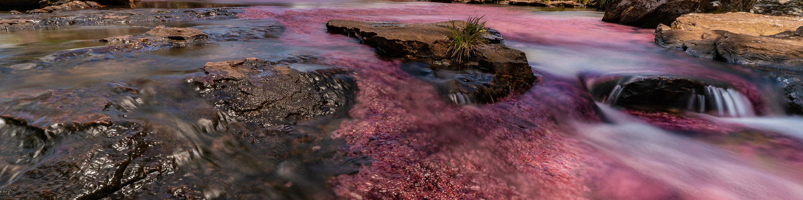 The colorful algae growing in the riverbed makes the water looks red. At the banks, there is a lush jungle.
