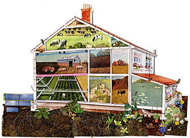 Illustration of indoor farming