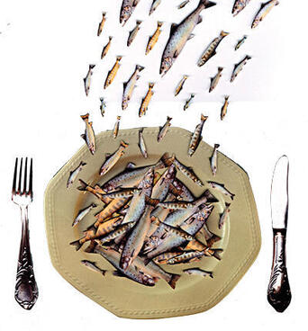 Illustration of fish flying on plate