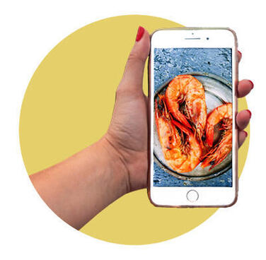 Illustration of shrimp app