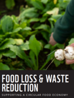 Food Loss and Waste Factsheet Brochure