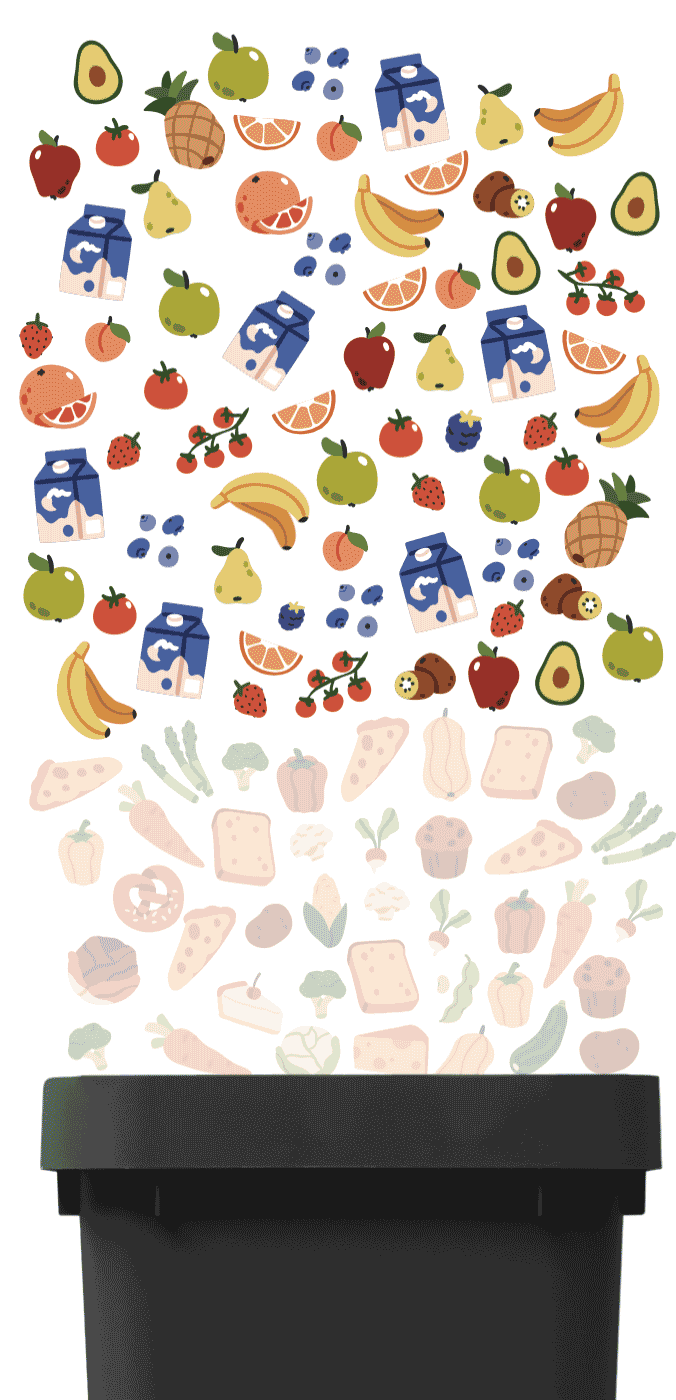 Graphic of fruit and milk going into trash