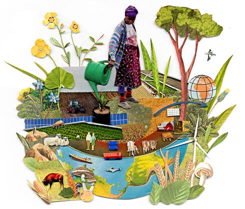 Illustration of woman and food crops