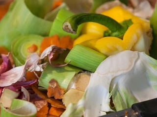 A pile of vegetable scraps