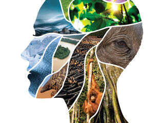 The profile of a person's face is created with a collage of images of animals and nature