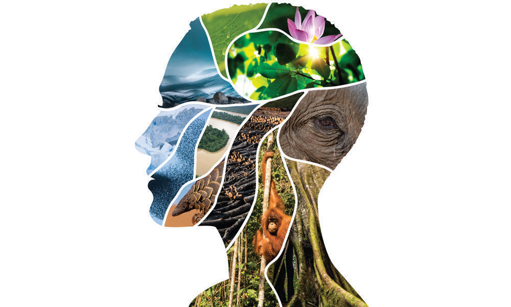 The profile of a person's face is created with a collage of images of animals and nature