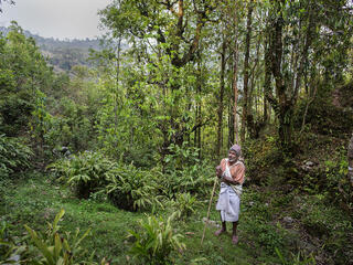 Forest Guardian, Lila Ditra Poudel, in Nepal